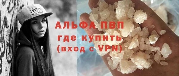 сатива Арсеньев