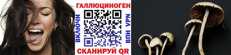 Галлюциногенные грибы Cubensis  магазин продажи наркотиков  Усмань 