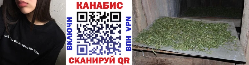 наркота  Усмань  Каннабис планчик 